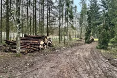 ImageToStl.com_474640033_634419365598385_2163784578719013453_n